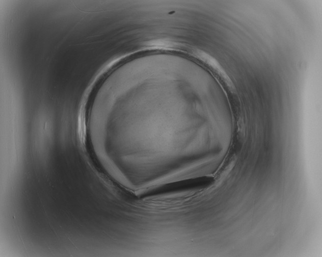 X0000101471323200807281011