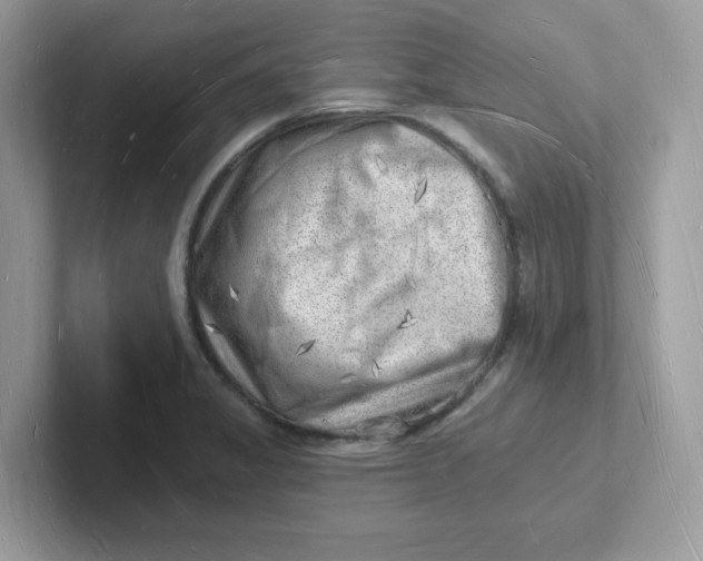 X0000101471325200807281011