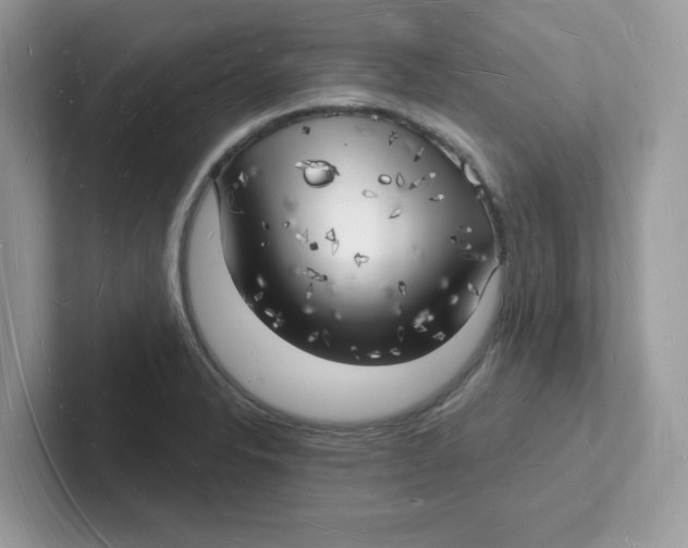 X0000101471326200807281011