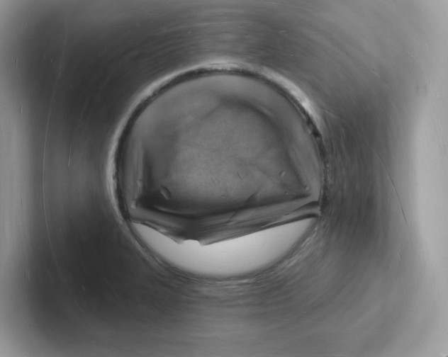 X0000101471327200807281011