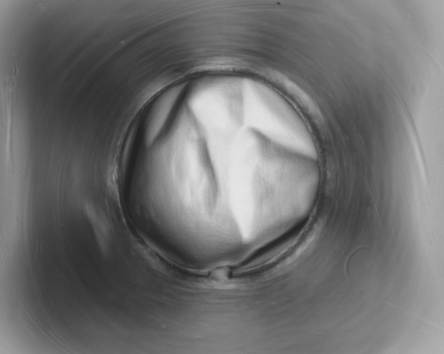 X0000101471329200807281012