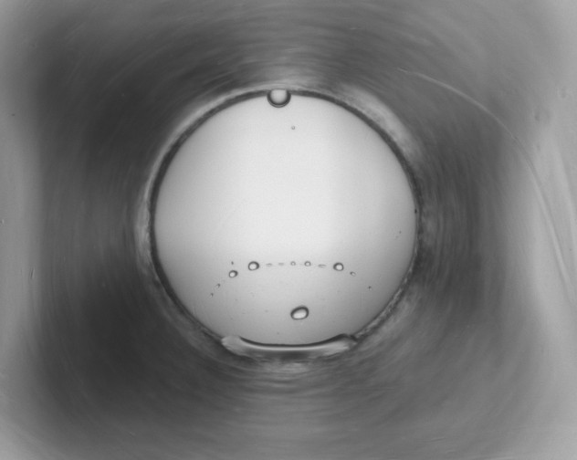 X0000101471332200807281012