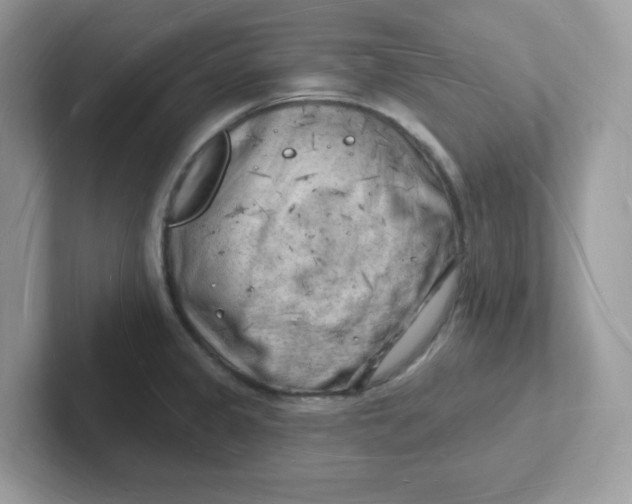 X0000101471333200807281012