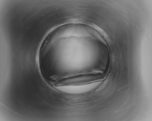 X0000101471334200807281012