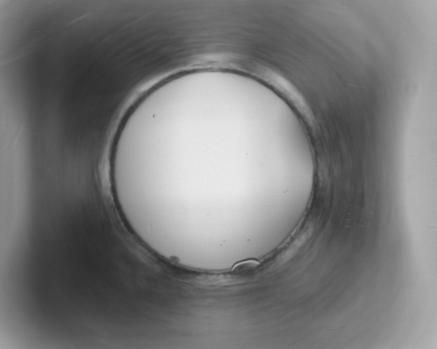 X0000101471336200807281012