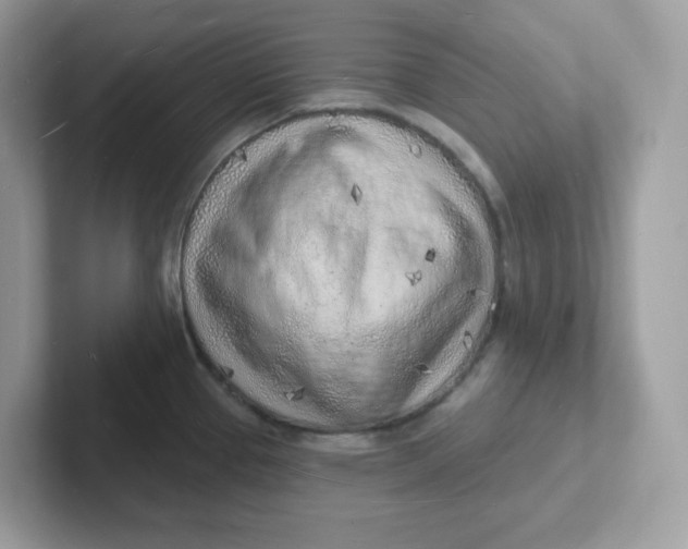 X0000101471337200807281012