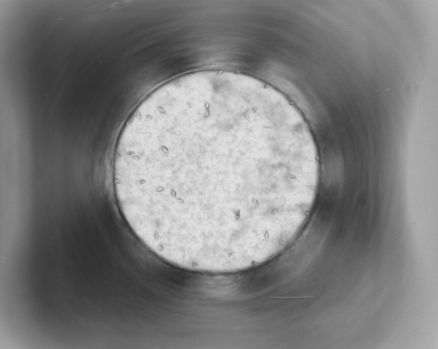 X0000101471338200807281012