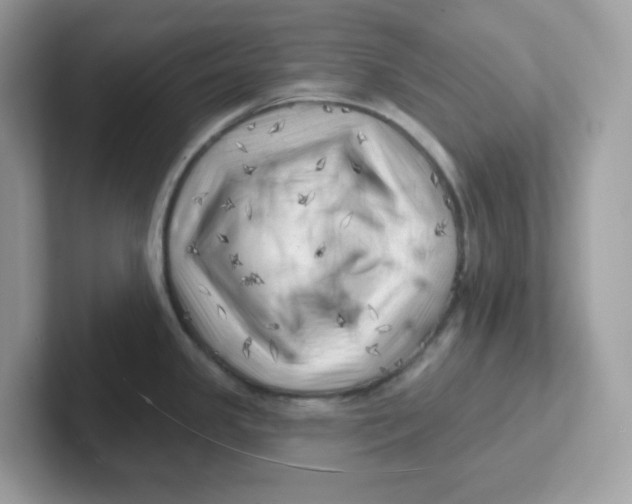 X0000101471341200807281012