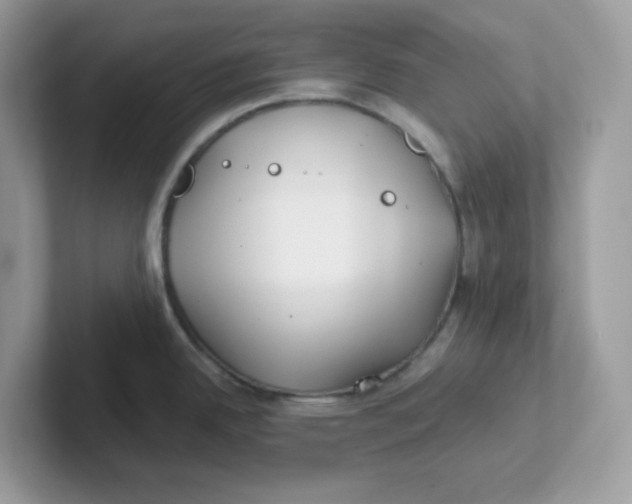 X0000101471342200807281012