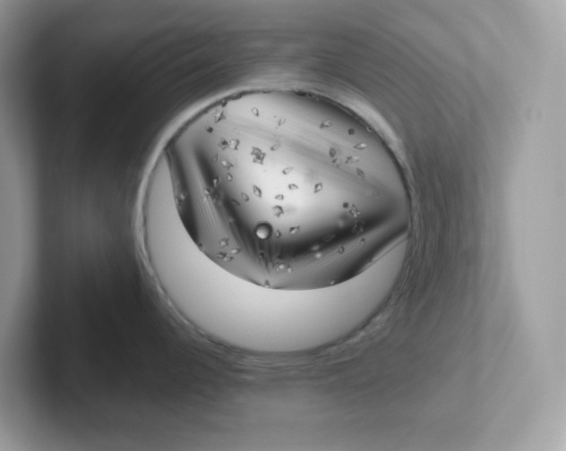 X0000101471344200807281012