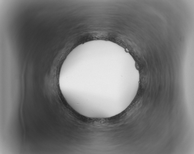 X0000101471345200807281011