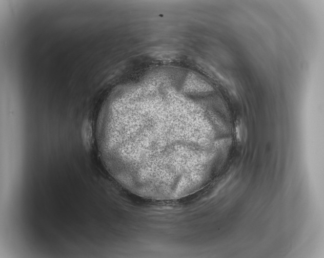 X0000101471347200807281011