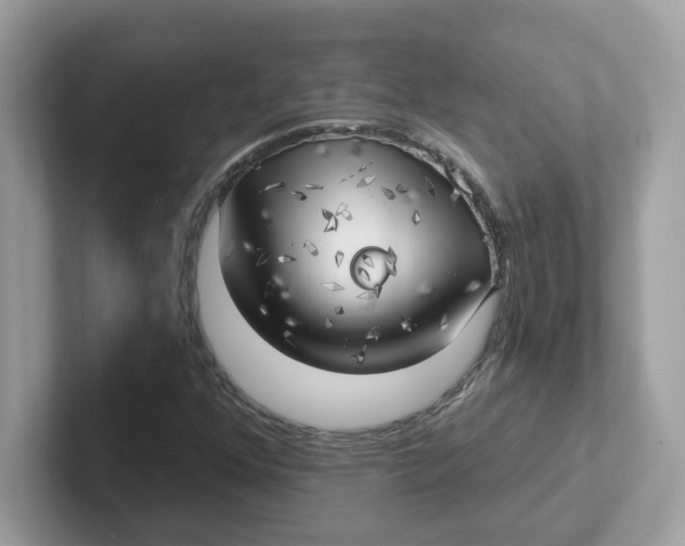 X0000101471352200807281011