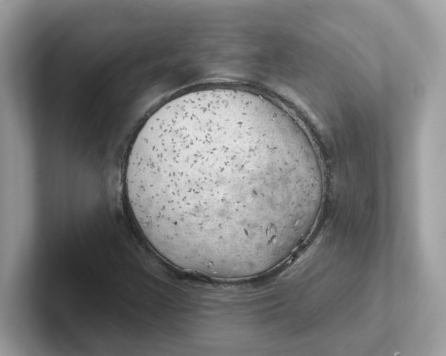 X0000101471355200807281011