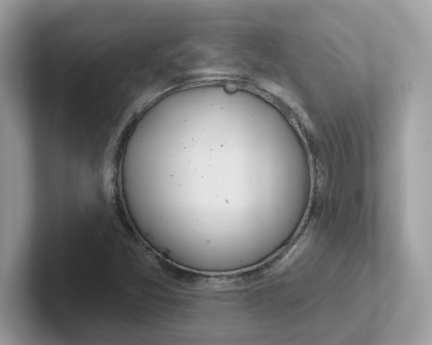 X0000101471357200807281011