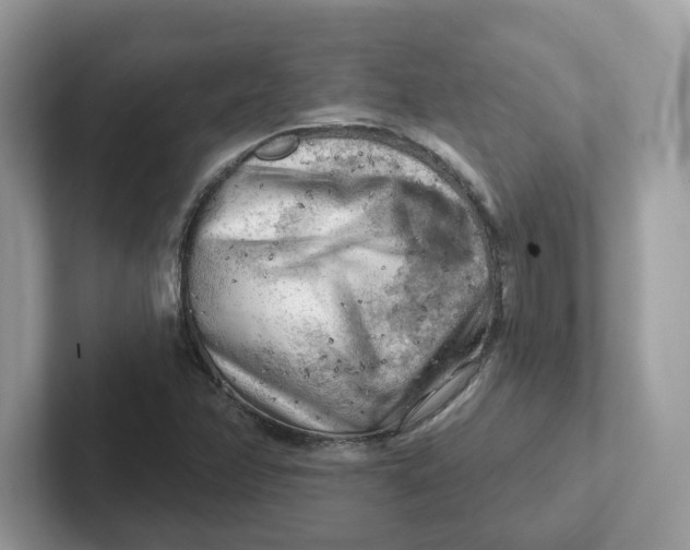 X0000101471358200807281011