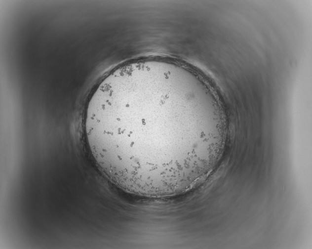 X0000101471359200807281011