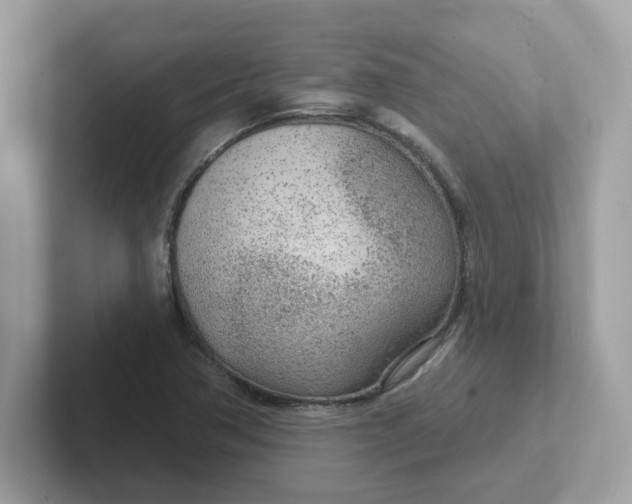 X0000101471362200807281011