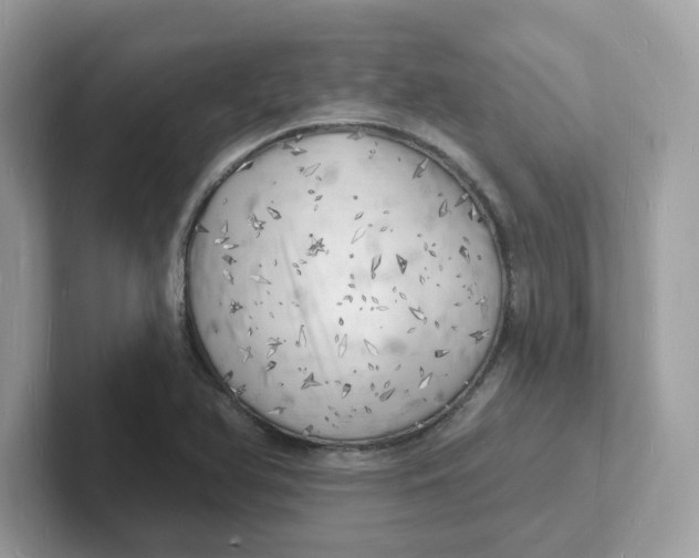 X0000101471366200807281011