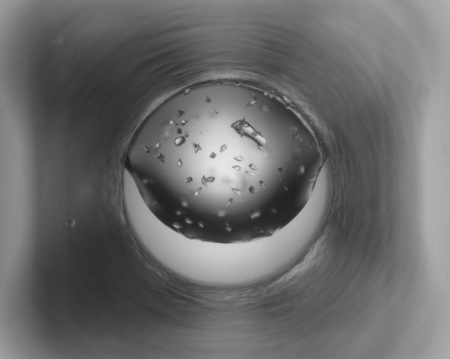 X0000101471369200807281011