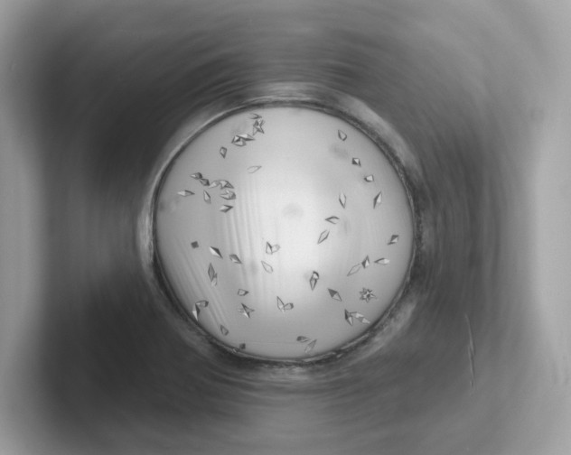 X0000101471370200807281011