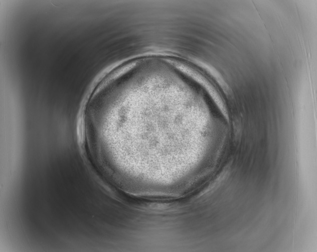 X0000101471371200807281011