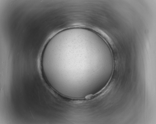 X0000101471373200807281011