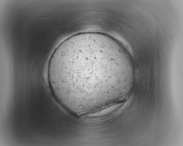 X0000101471374200807281011