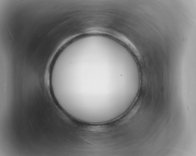 X0000101471376200807281011