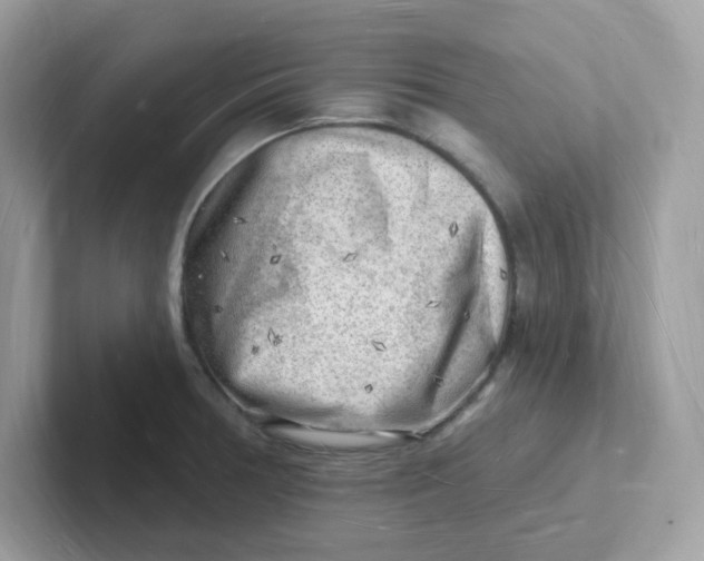 X0000101471378200807281011