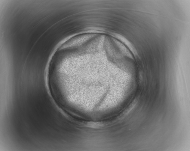 X0000101471379200807281011