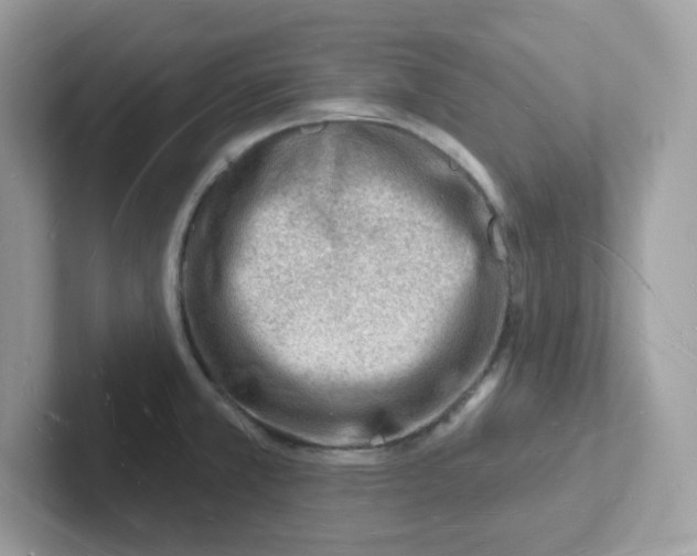 X0000101471381200807281011