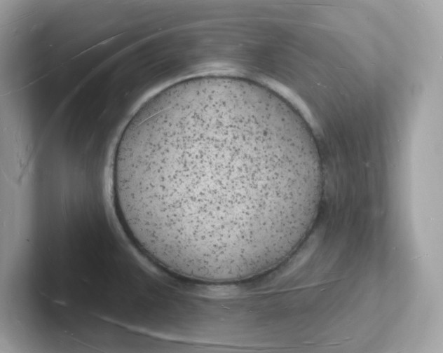 X0000101471383200807281011