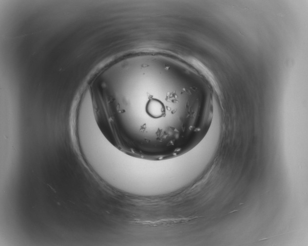 X0000101471384200807281011