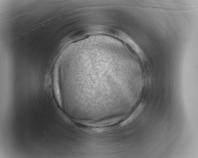 X0000101471385200807281011