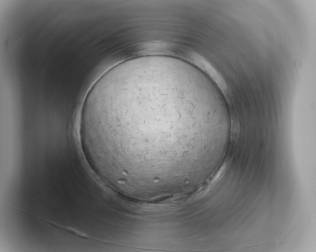 X0000101471386200807281011