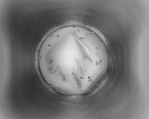 X0000101471390200807281010