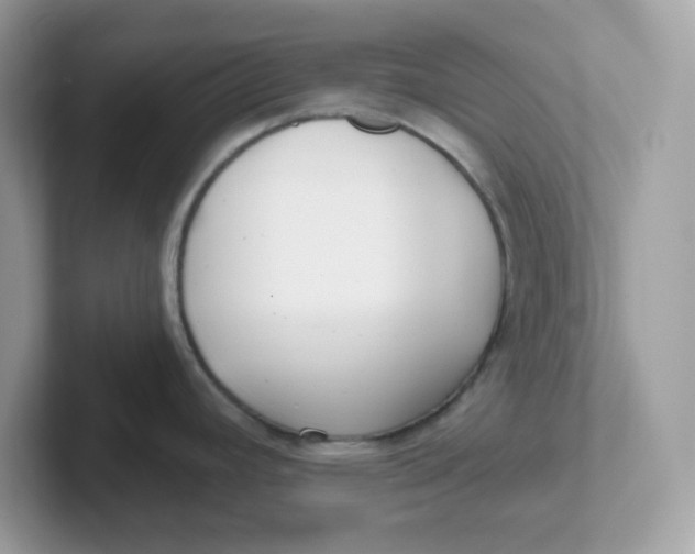 X0000101471392200807281010