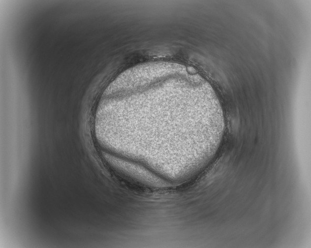 X0000101471393200807281010