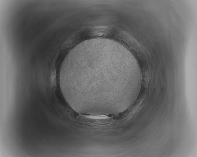 X0000101471394200807281010