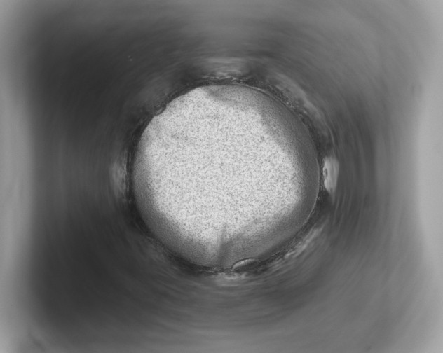 X0000101471395200807281010