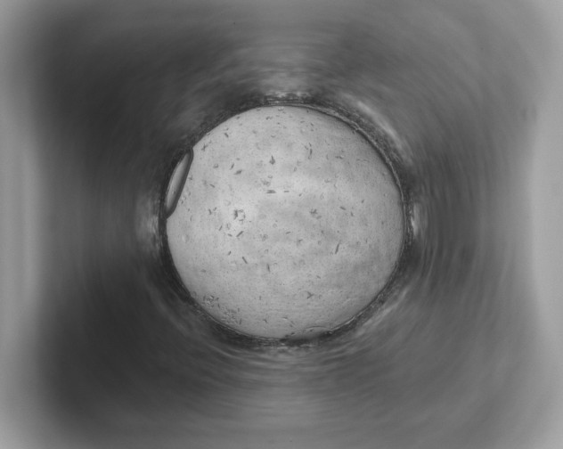 X0000101471396200807281010