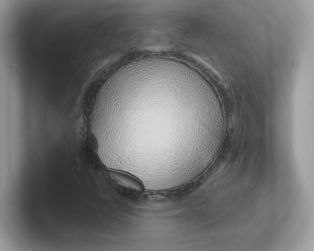 X0000101471398200807281010