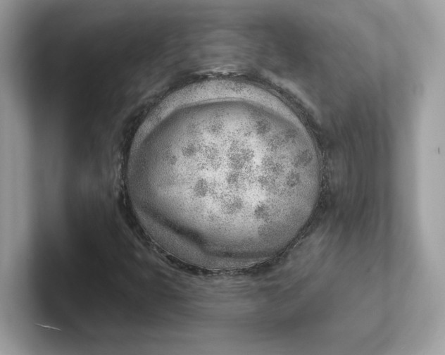 X0000101471399200807281010