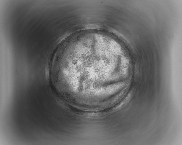 X0000101471401200807281010