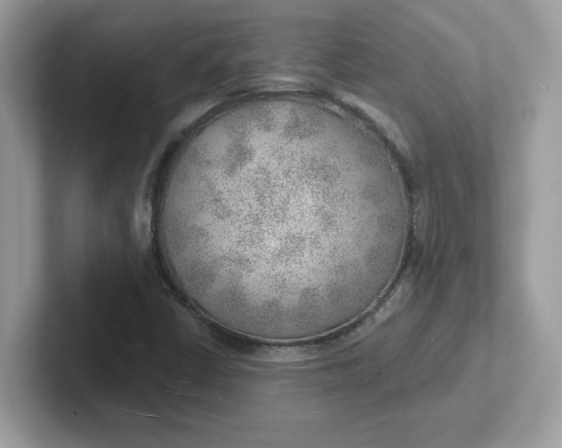 X0000101471402200807281010