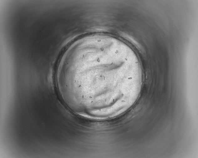 X0000101471404200807281010