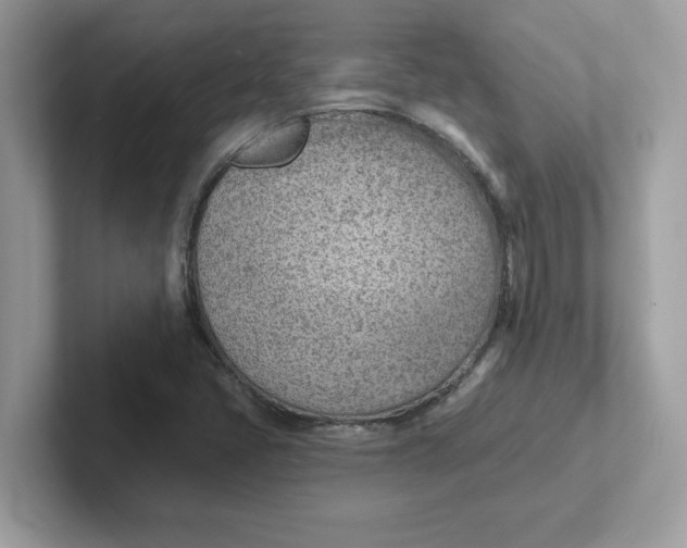 X0000101471405200807281010