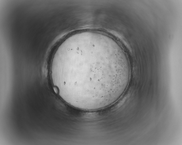 X0000101471406200807281010