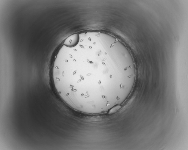 X0000101471410200807281010